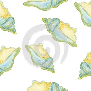 Trophonopsis breviata sea ocean shell seamless pattern watercolor illustration isolated on white background base for photo