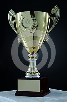 Trophy cup