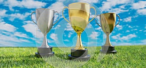 Trophy Cup gold silver bronze with dual handle on green grass, cloudy sky background. 3d render