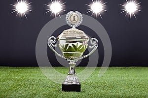 Trophy Cup Lying On Green Pitch Filed