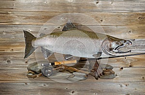 Trophy salmon with fishing gear on rustic wood
