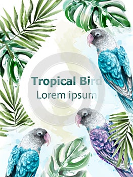 Tropic card watercolor Vector with colorful parrot birds and palm leaves decor