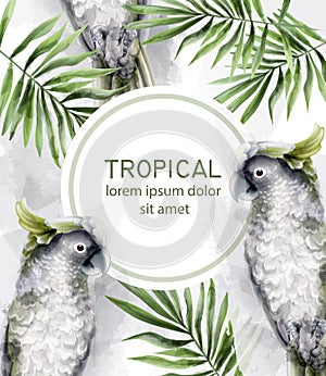 Tropic card watercolor Vector with colorful parrot birds and palm leaves decors