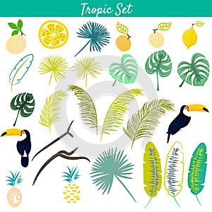 Tropic clipart vector set.