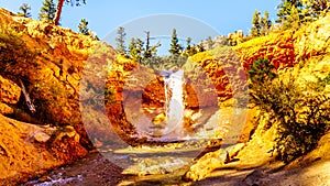 Tropic Ditch Falls as it drops over the vermilion colored rocks at the Mossy Cave hiking trail in Bryce Canyon National Park