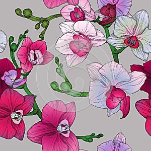 Tropic floral seamless pattern with hand drawing orchid flowers