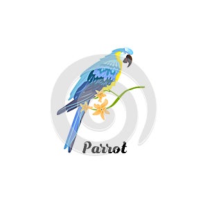 Tropic icon on white background with text. Bright parrot ara and plumeria flowers