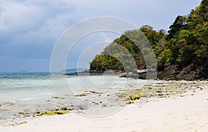 Tropic island landscape