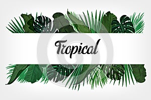 Tropic leaves background with frame for your text. Eps10 vector template.