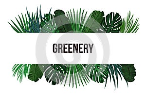 Tropic leaves background with frame for your text. Eps10 vector template.