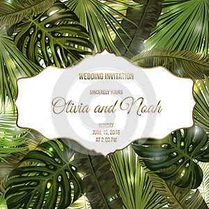 Tropic leaves background with frame for your text. Eps10 vector template.