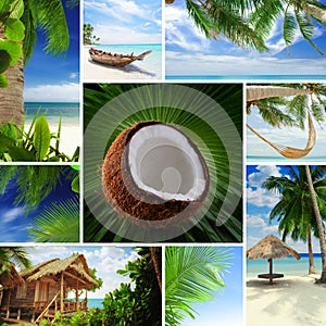 Tropic mix photo