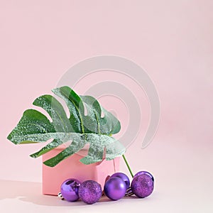 Tropic palm green leaf with snow on it and vivid violet baubles.Christmas tree idea