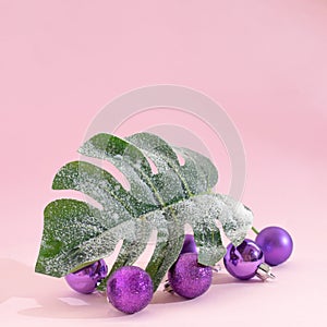 Tropic palm green leaf with snow on it and vivid violet baubles.Christmas tree idea with ornaments
