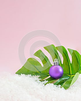 Tropic palm green leaf with vivid violet bauble with snow all around.Christmas tree idea.Holiday concept design.New