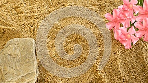 tropic pink flowers on a sandy background.exotic sea concept