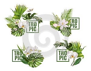 Tropic plants banner set