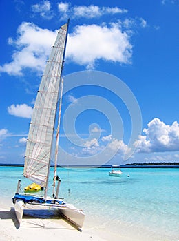 Tropic sailing