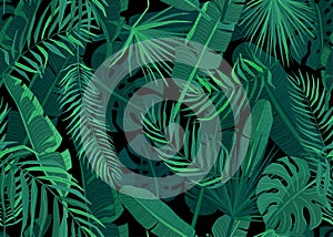 Tropic seamless pattern vector illustration. Tropical floral endless background with exotic palm, banana, monstera