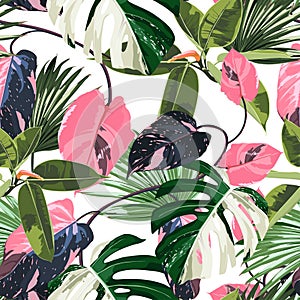 Tropic summer painting seamless pattern with exotic pink liana branch and palm monstera leaves.