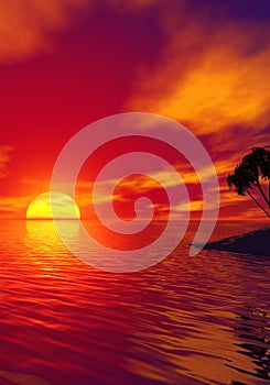 Tropic sunset photo