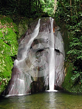 Tropico cascata 