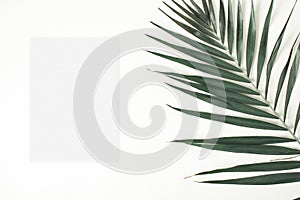 Tropical a5 mockup with palm leaf