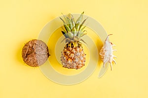 Tropical abstract background, pattern with coconut and pineapple, on yellow background. Summer concept. Flat lay, top
