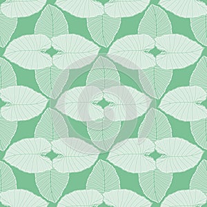 Tropical Alocasia Seamless Vector Pattern