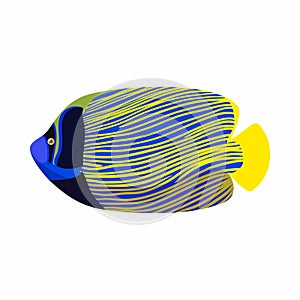 Tropical angelfish icon, cartoon style