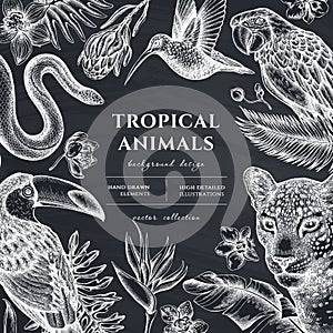 Tropical animals hand drawn illustration design. Background with chalk leopard, snake, hummingbird, toucan, scarlet