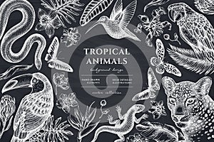 Tropical animals hand drawn illustration design. Background with chalk leopard, snake, lizard, hummingbird, toucan