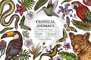 Tropical animals hand drawn illustration design. Background with retro leopard, snake, lizard, hummingbird, toucan