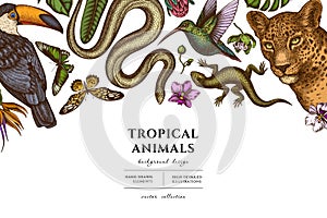 Tropical animals hand drawn illustration design. Background with retro leopard, snake, lizard, hummingbird, toucan