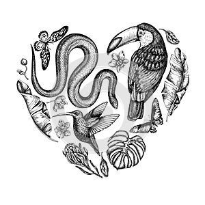 Tropical animals heart vintage design. Hand drawn snake, hummingbird, toucan, african giant swallowtail, monstera