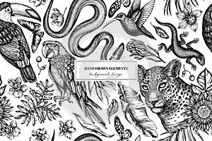 Tropical animals seamless pattern background design. Engraved style. Hand drawn leopard, snake, lizard, hummingbird