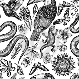 Tropical animals seamless pattern background design. Engraved style. Hand drawn snake, lizard, hummingbird, toucan