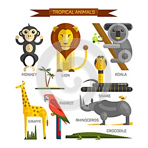 Tropical animals vector set in flat style design. Jungle birds, mammals and predators. Zoo cartoon icons collection