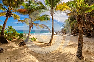 Tropical Anse Intendance beach at Seychelles in Mahe Island