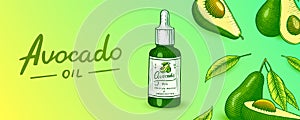 Tropical avocado. Set of evergreen fruit plant. Cosmetics for skin care. Organic oil in the bottle. Background or poster