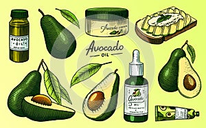 Tropical avocado. Set of evergreen fruit plant. Cosmetics for skin care. Organic oil in the bottle. Isolated Vector hand