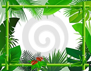 Tropical Background with Bamboo Frame