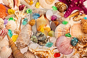 Tropical background of beautiful shells on a white background. Multi-colored shells and crystals on the seabed. Tropical