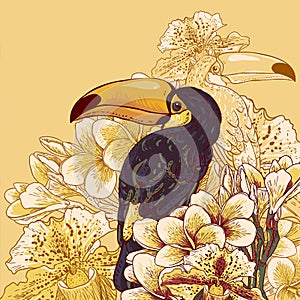 Tropical background with exotic flowers, Toucan