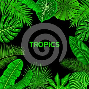 Tropical Background Frame with Exotic Tropic Leaves