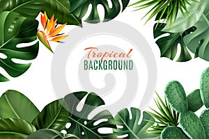 Tropical Background With Frame From Leaves