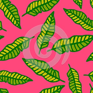 Tropical background with green hand drawn palm leaves on bright pink.