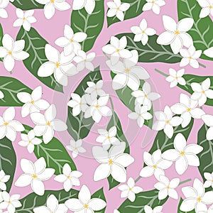 Tropical background with hand-drawn plumeria flowers. Seamless floral pattern. Exotic vector illustration. Flat summer print