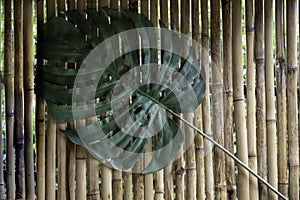 leaf on a background of brown bamboo wall