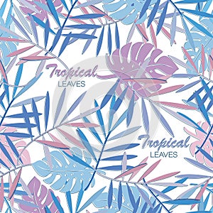 Tropical background, leaves